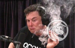 elon musk dogecoin