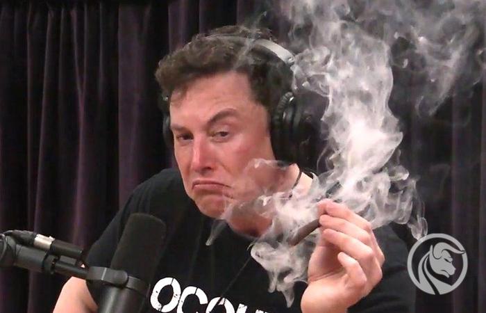 Eksperci: Elon Musk kłamie w kwestii kryptowalut