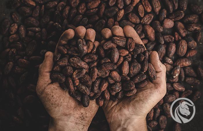 Czeka nas droższa filiżanka kawy. Niedobór produkcji