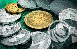 popularité des crypto-monnaies