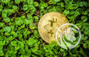 zelený bitcoin