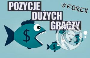 pozycje dużych graczy forex