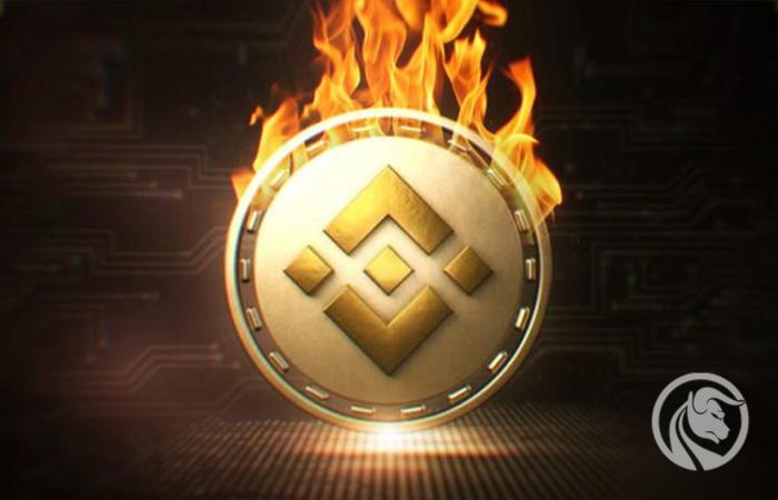 Binance Coin: Spalili kryptowaluty za ponad 369 mln USD