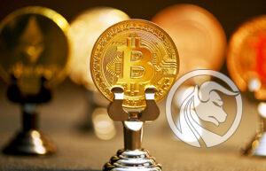 centrum kryptowalut
