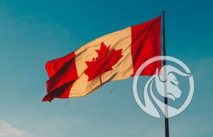 kanadské rýpadlá na kryptomeny