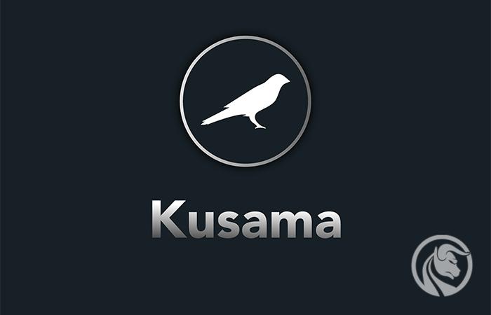 Kusama (KSM) – kryptowaluta, która miała być eksperymentem, jest hitem