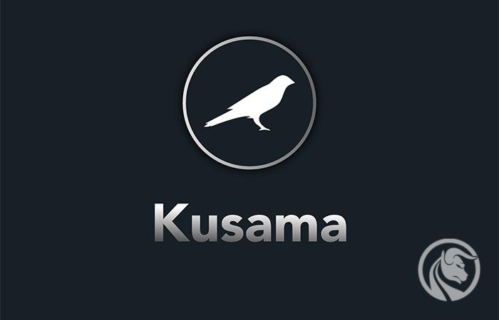 Криптовалюта kusama paymaster ru отзывы