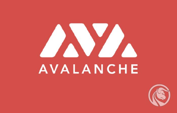 Avalanche (AVAX) – kryptowaluta, która zebrała 42 mln USD w 4,5 h