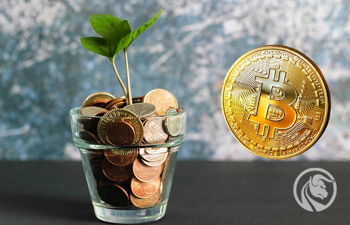 Kryptoemerytura: w sierpniu odnotowaliśmy 38,85% zysku