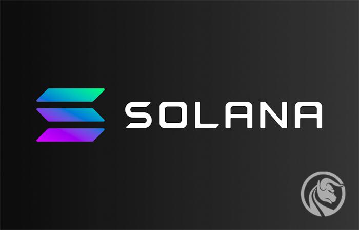 Solana (SOL) – kryptowaluta, która rośnie, gdy ceny innych spadają