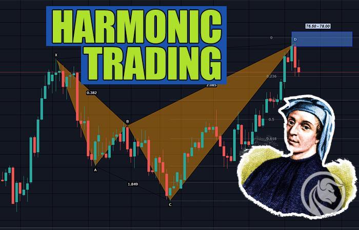 Fibonacci był traderem? Co wart jest trading harmoniczny [Video]