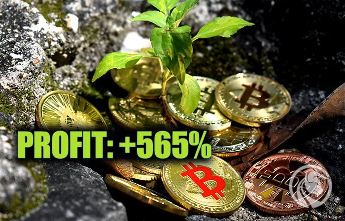 Kryptoemerytura: wrzesień na huśtawce. Po 19 miesiącach 565% zysku