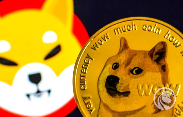 Bitcoin osiąga nowy #ATH, a Shiba Inu Coin reaguje na tweety Muska