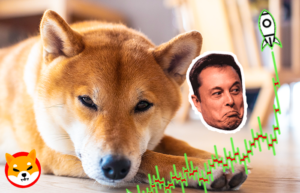 shibainu coin crypto