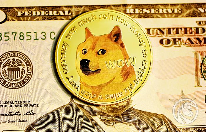 XTB dodaje do oferty nowe kryptowaluty, m.in. Dogecoin (DOGE) i Cardano (ADA)