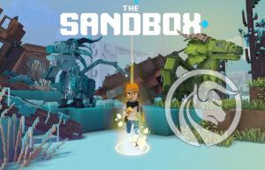 sandbox sand