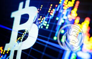 Global Crypto Ranking