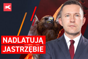 obrazek wpisu