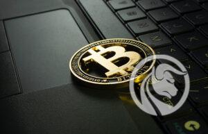 inwestowanie w kryptowaluty