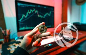 spadki kryptowalut