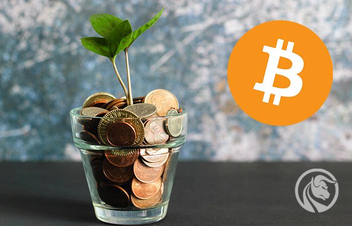 Kryptoemerytura: Luty pełen emocji w portfelu emerytalnym