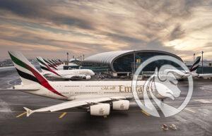 emirates metaverse nft