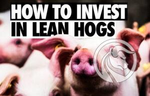 kontrakty lean hog
