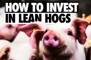 kontrakty lean hog