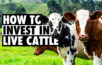 live cattle contracts