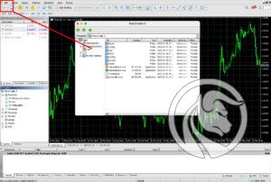 mt5 mac indicator