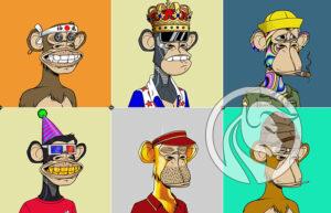 bored apes ethereum