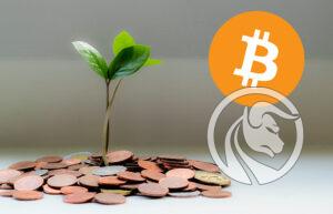 kryptoemerytura kwiecien 2022