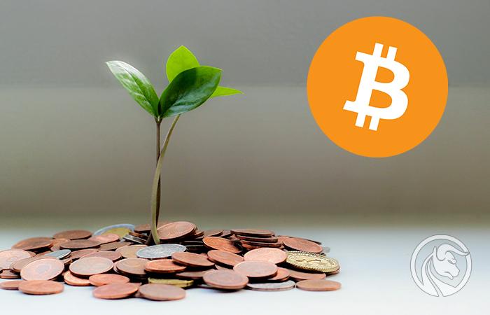 Kryptoemerytura: Kwiecień dużych spadków, a my zarabiamy