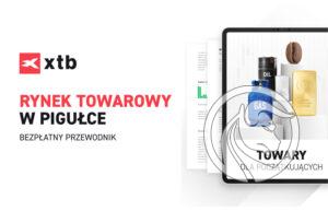 Rynek towarowy w pigułce - bezpłatny przewodnik