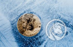 kryptowalutowa zima