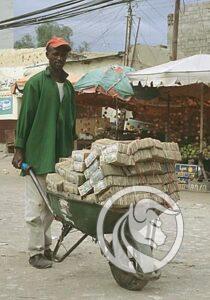 zimbabwe dollars
