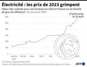 08 france energy prices