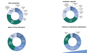 11 PGE net production energy Poland