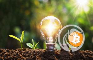 kryptoemerytura lipiec 2022