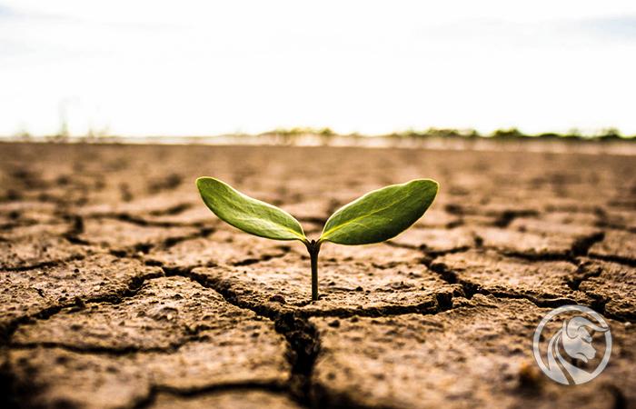 Problemy z pogodą i kryzys energetyczny windują ceny surowców