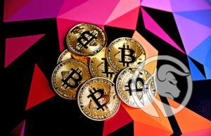 kryptowaluty drożeją