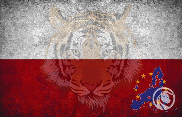 Polska – Europejski tygrys na tle UE? Sprawdzamy!