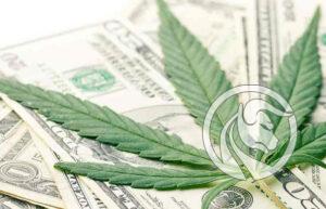medyczna marihuana