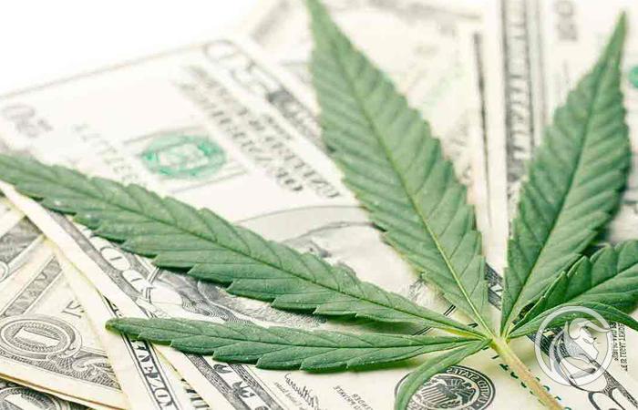 Wojna opóźnia postępy w legalizacji marihuany w USA i Niemczech