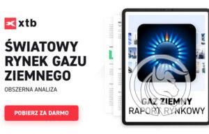 gaz ziemny raport