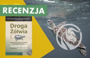 droga żółwia curtis faith