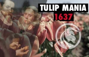 tulipomania 1637