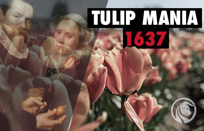tulipomania 1637