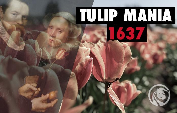 Tulipany w cenie złota – Czym była tulipomania?