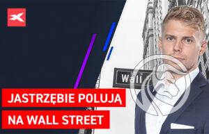 jastrzębie poluja na wall street